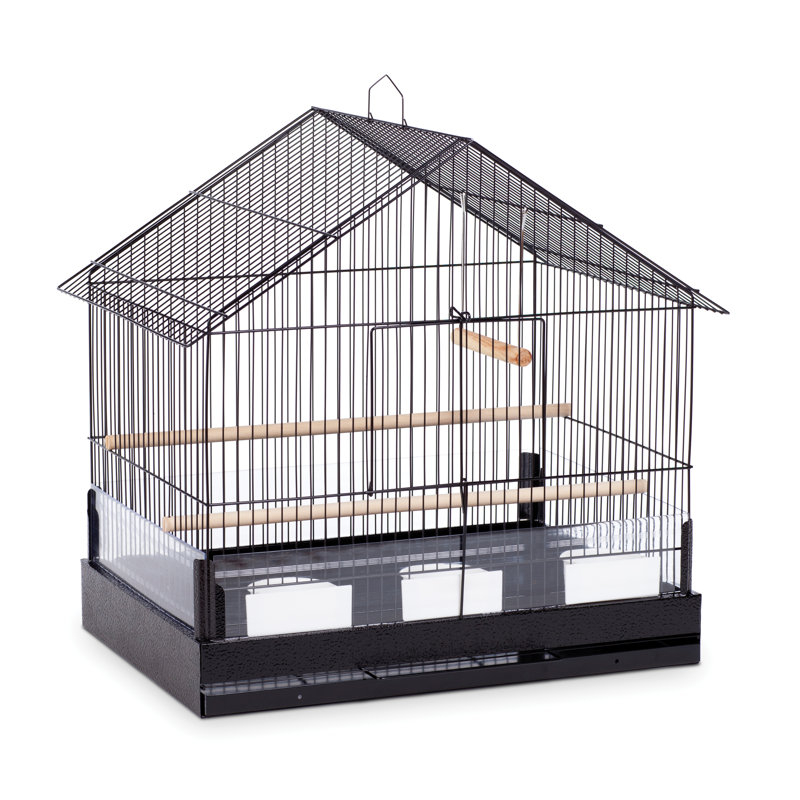Tucker Murphy™ Pet Knox Hanging Bird Cage with Removable Tray & Reviews